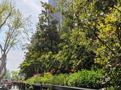 -长江路历史文化街区