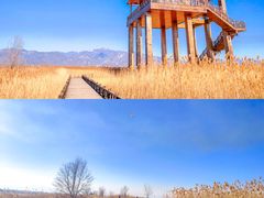 -野鸭湖国家湿地公园