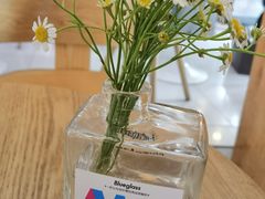 -Blueglass酸奶(财富购物中心店)