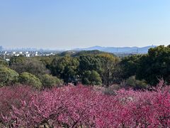 -无锡梅园公园