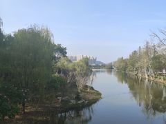 -洋湖国家湿地公园