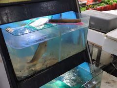 水产区-老林記