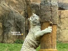 -杭州野生动物世界