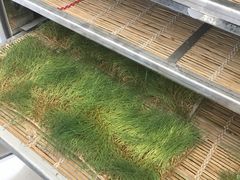 -桂林北站