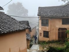 -杨家堂村