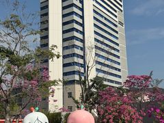 -深圳市体育中心体育馆主馆