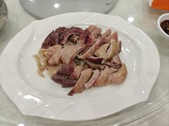 白切猪肚-姚林轩