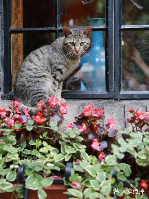 马勒别墅饭店(静安寺店)图片