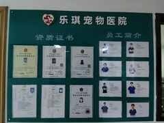 -乐琪宠物医院·犬猫专科·骨外科·急重症