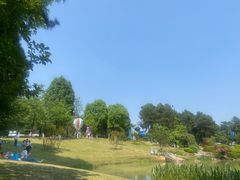 -铁山坪森林公园