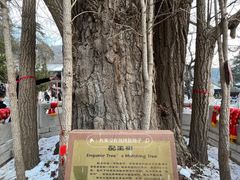 -潭柘寺景区