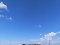 -宁波杭州湾国家湿地公园