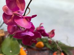 -上海衡山路十二号华邑酒店