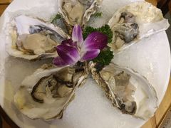 -董家湾重庆老火锅(嘉华店)