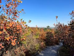 -北京西山国家森林公园