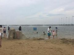 -碧海金沙