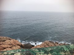 -广东惠东海龟国家级自然保护区