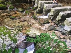 -牛背梁国家森林公园