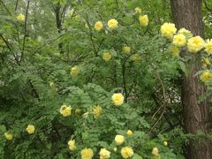 -长春公园(普阳街道)