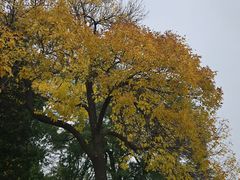 -紫竹院公园-东门停车场