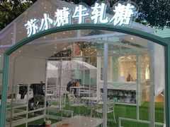 -苏小糖(鼓浪屿三丘田花园店)
