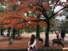 -成都濑川外国语学校