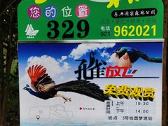 -东平国家森林公园