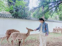 -观唐（国际）度假村温泉