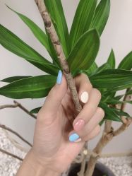 -臻美薈美容养生美甲美睫專門店