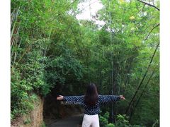 -羚羊峡古栈道森林公园