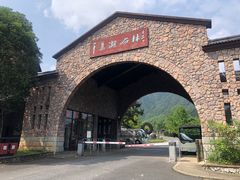 -千岛湖石林