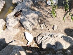 -天津东丽湖风景区