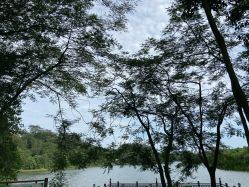 -佛灵湖水上乐园