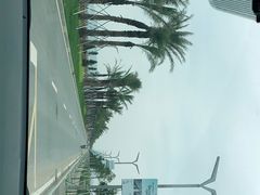 -江门古劳水乡旅游区