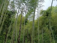 -仙岛湖旅游风景区