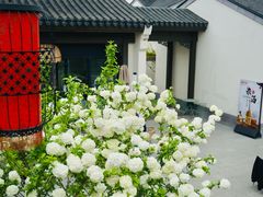 -雅达·阳羡溪山小镇中心