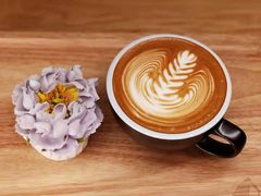 -WIZARD COFFEE咖啡巫师