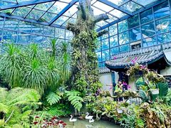 -东莞植物园