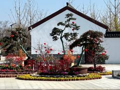 -苏州上方山国家森林公园