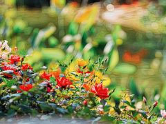 -人民公园(罗湖区)