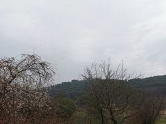 -苏州上方山国家森林公园