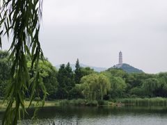 -北坞公园