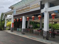 -中国科学院西双版纳热带植物园
