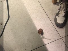 -半天妖烤鱼(丽金广场店)