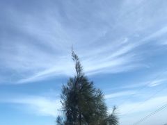 -大姆山草场