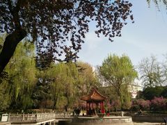 -西安市纺织公园