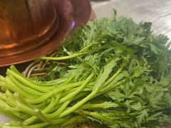 茼蒿-东来顺饭庄(王府井步行街店)