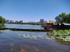 -济南大明湖景区