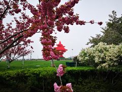 -五四广场