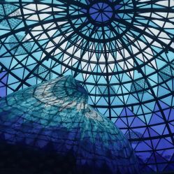 点击看大图 -爱漾皮肤管理中心